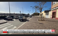 olbia aggredisce due persone e ferisce a morte un cane arrestato