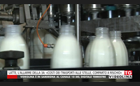 latte l allarme della 3a costi dei trasporti alle stelle comparto a rischio