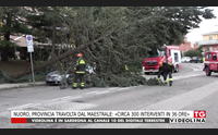 nuoro provincia travolta dal maestrale circa 300 interventi in 36 ore