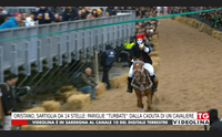 oristano sartiglia da 14 stelle pariglie turbate dalla caduta di un cavaliere