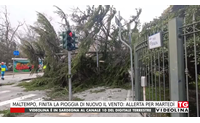 maltempo finita la pioggia di nuovo il vento allerta per marted