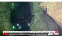 siniscola montalbo scrigno di biodiversit trovate 10 nuove specie