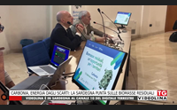 carbonia energia dagli scarti la sardegna punta sulle biomasse residuali