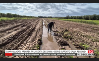 campi allagati arborea fa la conta dei danni serve supporto dalla regione