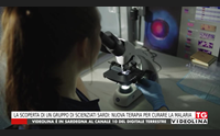 la scoperta di un gruppo di scienziati sardi nuova terapia per curare la malaria