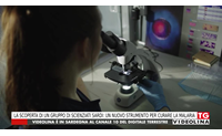 la scoperta di un gruppo di scienziati sardi un nuovo strumento per curare la malaria