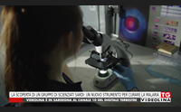 la scoperta di un gruppo di scienziati sardi un nuovo strumento per curare la malaria