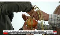 gergei su sessineddu nel patrimonio culturale immateriale nazionale