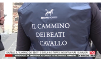 galtell il cammino dei beati si svela in 5 tappe e incontra pure i cavalieri