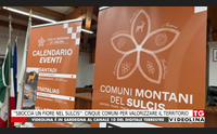 sboccia un fiore nel sulcis cinque comuni per valorizzare il territorio