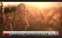 agricoltura da oristano la sfida per il rilancio del settore primario