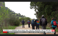 ulassai il cammino della pace tra i tacchi trekking tra la natura