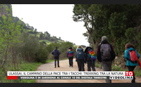 ulassai il cammino della pace tra i tacchi trekking tra la natura