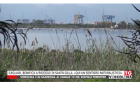 cagliari bonifica a ridosso di santa gilla qui un sentiero naturalistico