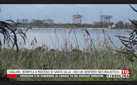 cagliari bonifica a ridosso di santa gilla qui un sentiero naturalistico