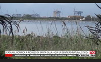 cagliari bonifica a ridosso di santa gilla qui un sentiero naturalistico