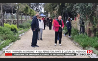milis primavera in giardino a villa pernis fiori piante e cultura del paesaggio