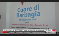 nuoro donazione degli organi e poca informazione convochiamo i cittadini