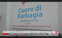 nuoro donazione degli organi e poca informazione convochiamo i cittadini