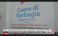 nuoro donazione degli organi e poca informazione convochiamo i cittadini