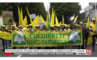 politiche agricole in piazza contro la burocrazia la rabbia di coldiretti a cagliari