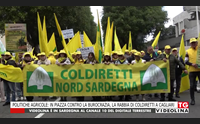 politiche agricole in piazza contro la burocrazia la rabbia di coldiretti a cagliari