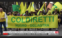 tremila in piazza contro la burocrazia la rabbia di coldiretti a cagliari