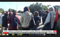 olbia arriva la primavera e a poltu cuadu sboccia l orto botanico