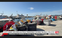 golfo aranci sostegno alla pesca tradizionale accordo tra adsp e pescatori