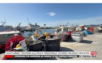 golfo aranci sostegno alla pesca tradizionale accordo tra adsp e pescatori