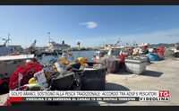 golfo aranci sostegno alla pesca tradizionale accordo tra adsp e pescatori