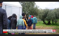 elini la serra diventa aula scolastica i bambini imparano coltivando