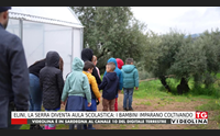 elini la serra diventa aula scolastica i bambini imparano coltivando