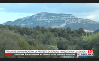 taglio dei comuni montani la protesta di dorgali mazzata per le aziende