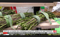 gesturi la sagra dell asparago selvatico simbolo di una comunit