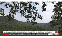 serdiana erbe e biodiversit il progetto il giardino dei saperi