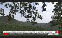 serdiana erbe e biodiversit il progetto il giardino dei saperi