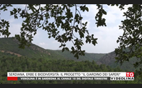 serdiana erbe e biodiversit il progetto il giardino dei saperi