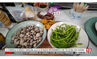 (x domenica 29 marzo) videolina alle 14 30 nuovo appuntamento con in cucina con cozzina