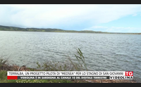 terralba un progetto pilota di medsea per lo stagno di san giovanni