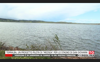 terralba un progetto pilota di medsea per lo stagno di san giovanni