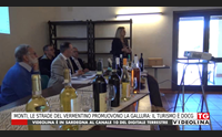 monti le strade del vermentino promuovono la gallura il turismo docg