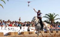 olbia la corsa verso la stella del palio di san simplicio