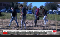 all agrario di elmas prende vita una micro foresta urbana