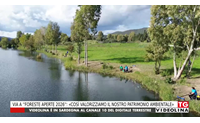 via a foreste aperte 2026 cos valorizziamo il nostro patrimonio ambientale