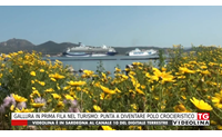 gallura in prima fila nel turismo punta a diventare polo crocieristico