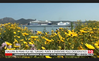 gallura in prima fila nel turismo punta a diventare polo crocieristico