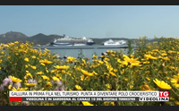 gallura in prima fila nel turismo punta a diventare polo crocieristico