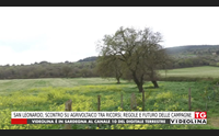 san leonardo scontro su agrivoltaico tra ricorsi regole e futuro delle campagne