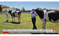 arborea fiera dell agricoltura fra nuove sfide e l incubo dermatite bovina